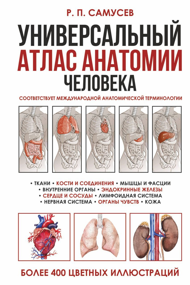 Универсальный атлас анатомии человека с цветными иллюстрациями Самусев Р.П.  #1