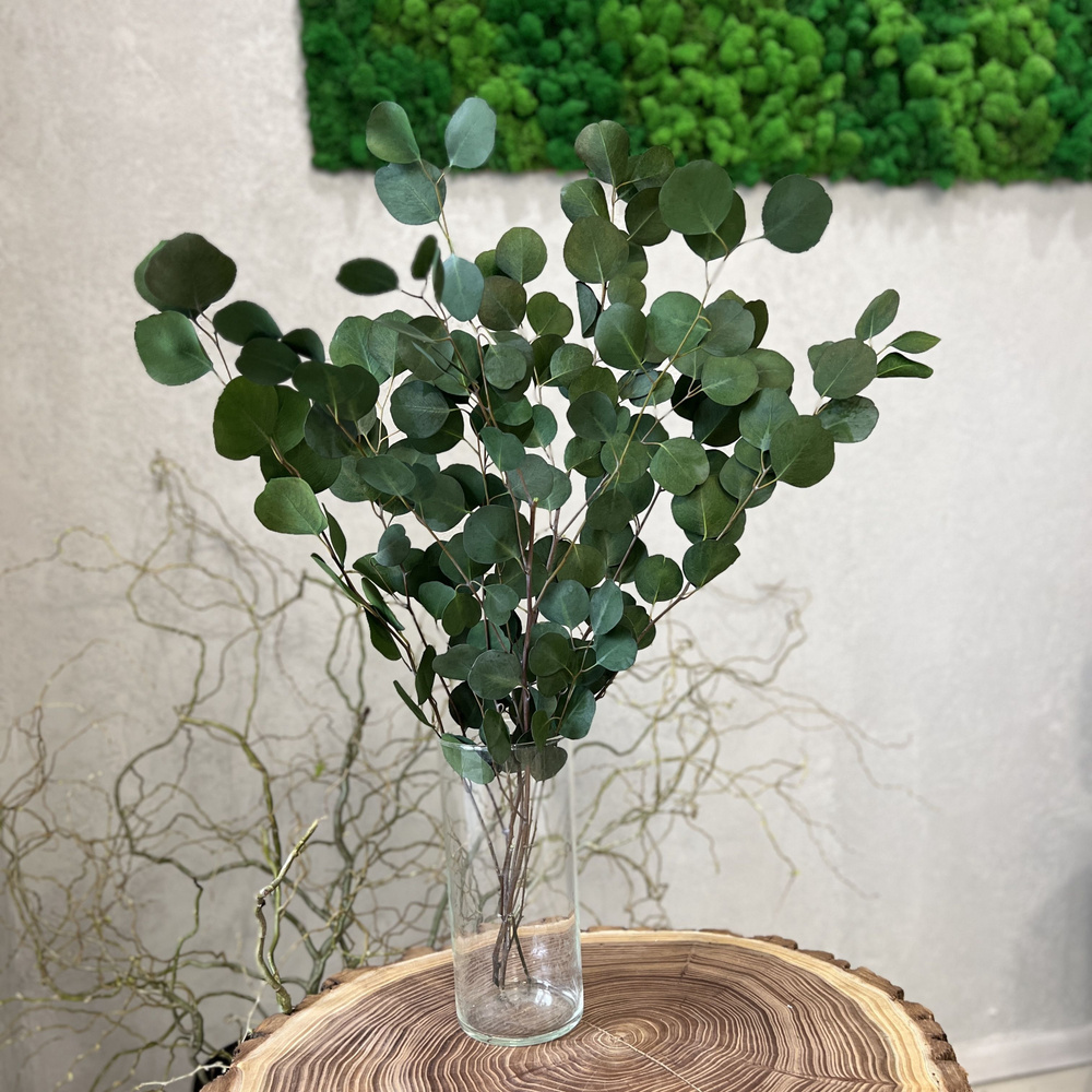 ROZASHOP Стабилизированные цветы Эвкалипт, 55 см, 80 гр, 1 шт #1
