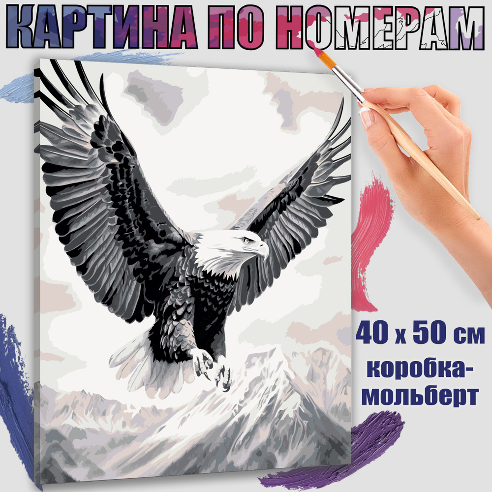 Картина по номерам 40x50 см. Орел #1