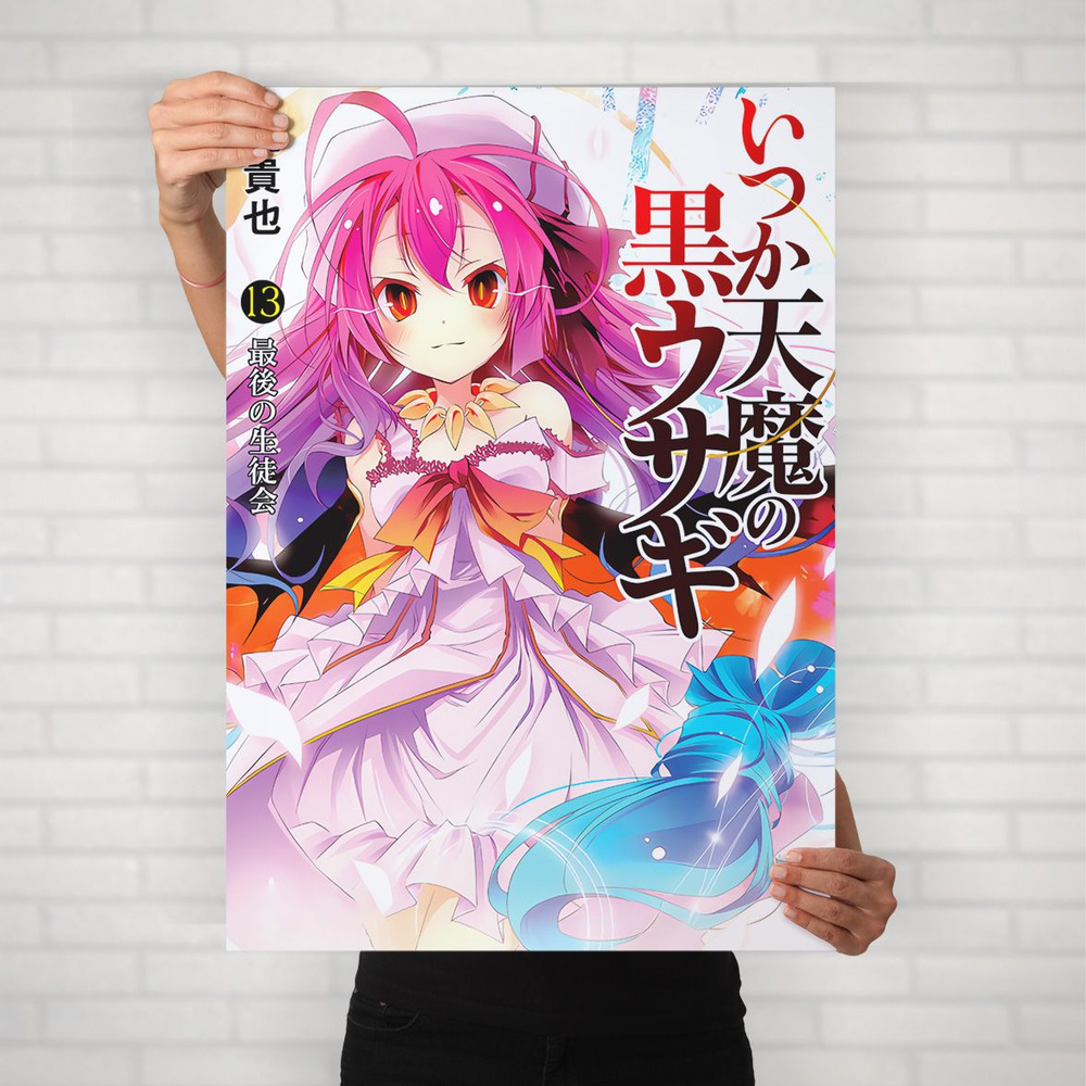 Плакат на стену для интерьера Нет игры нет жизни (No Game No Life - Шуви Дола) - Постер по аниме формата #1