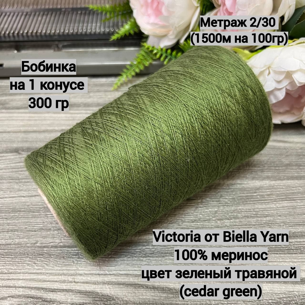 Пряжа для вязания Victoria от Biella Yarn, 100% меринос, цвет зеленый травяной (cedar green), метраж #1