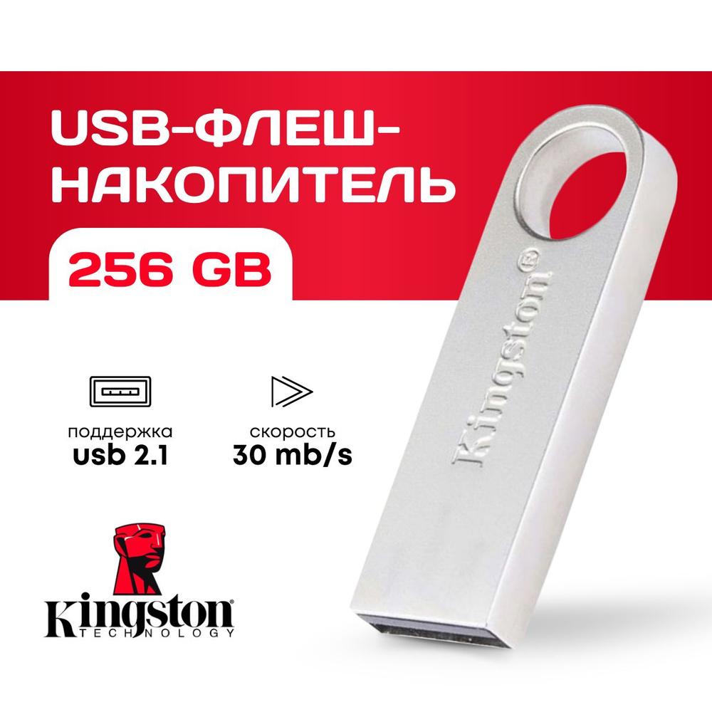 USB Флеш-накопитель Flash / 256 ГБ/ флеш-карта / usb флешка #1