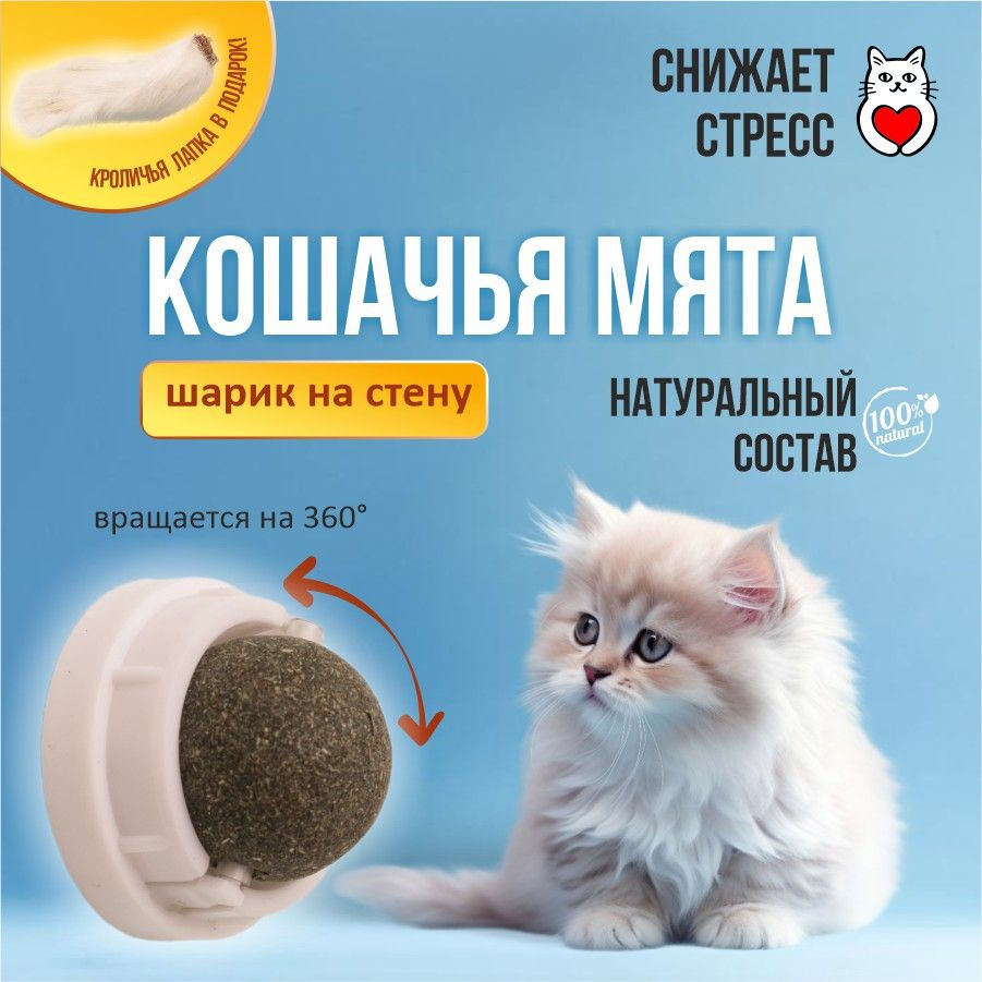 Игрушка для кошек, кошачья мята, шарик с кошачьей мятой на стену, кроличья лапка, Экосушка  #1