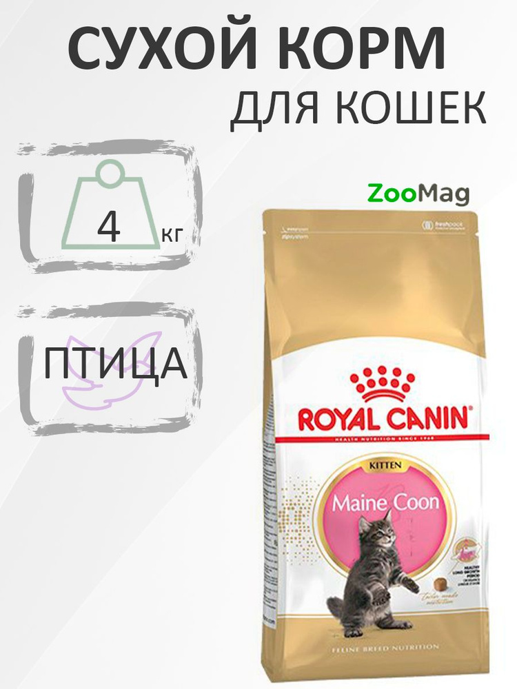 Royal Canin Breed cat Kitten Maine Coon / Сухой корм Роял Канин для Котят породы Мэйн Кун в возрасте #1