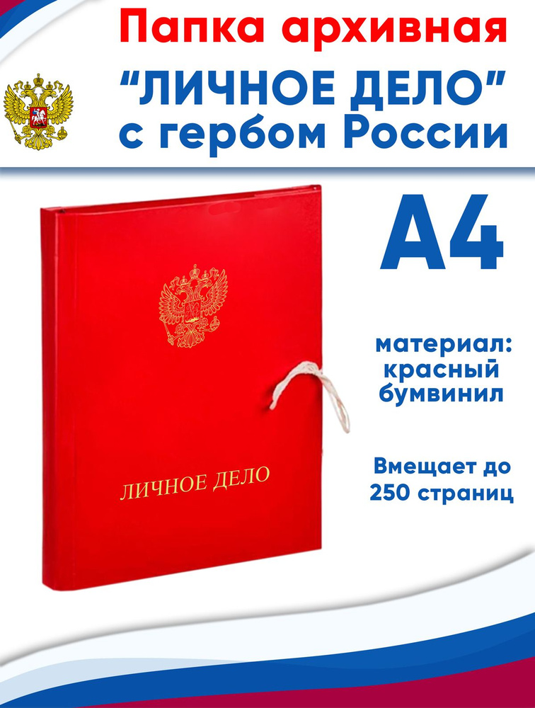 Папка архивная А4 Attache, бумвинил, ширина 3 см, 4 завязки, до 250 стр (личное дело с гербом РФ)  #1