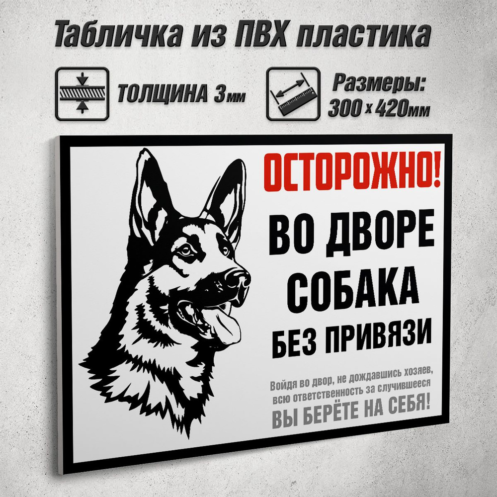 Информационная табличка "Осторожно! Во дворе собака без привязи" / 42x30 см.  #1