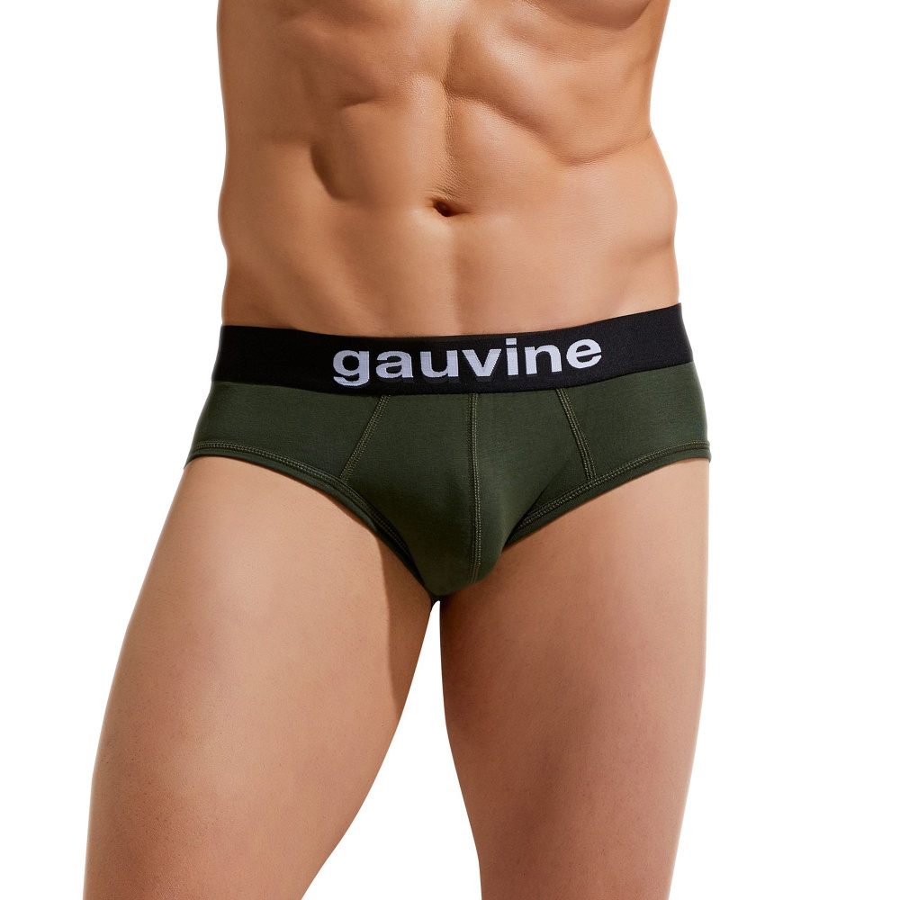 Трусы брифы GAUVINE, 1 шт #1