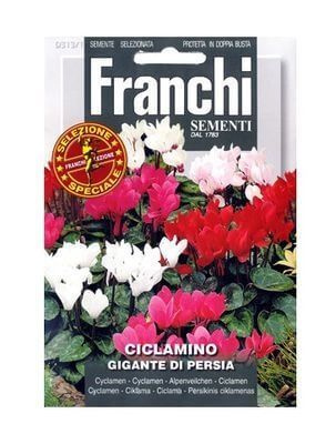 Franchi Семена ,1шт #1