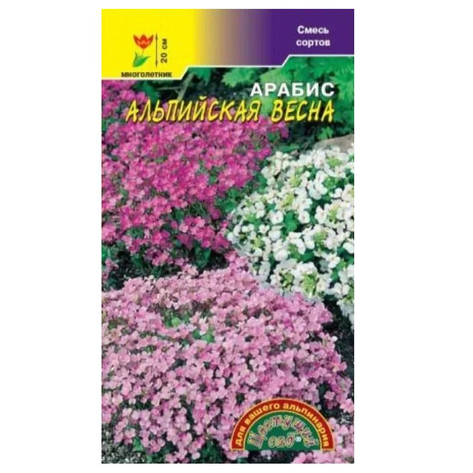 Арабис Альпийская весна разноцветная смесь. Многолетник. Идеален для ландшафтного дизайна! Семена Цветущий #1