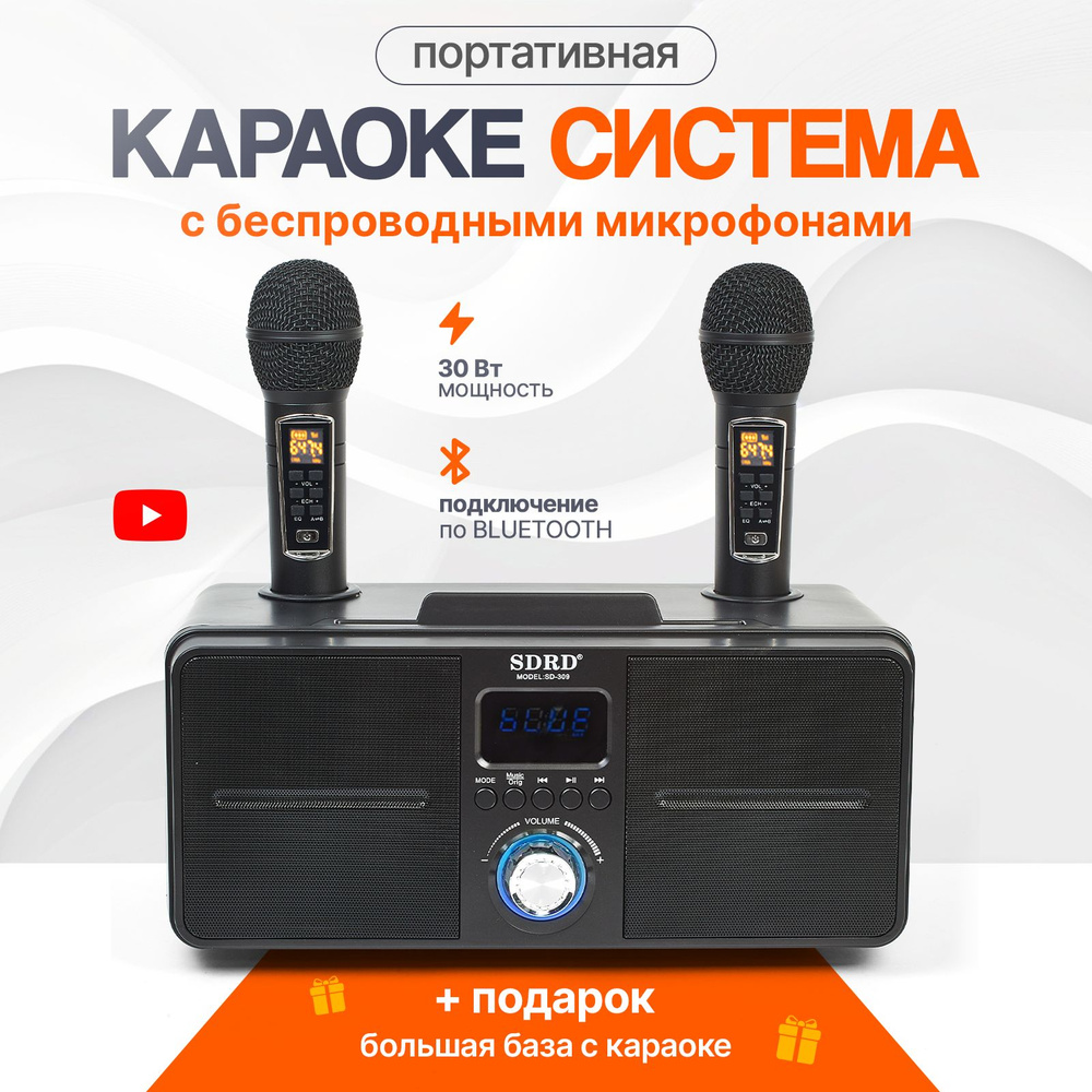 Караоке для дома с беспроводным микрофоном