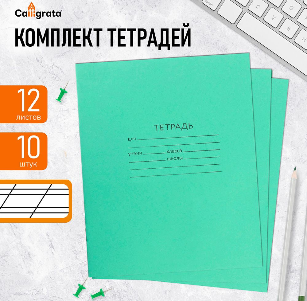 Комплект тетрадей из 10 штук, 12 листов в косую линию КПК "Зелёная обложка", блок №2, белизна 75% (серые #1