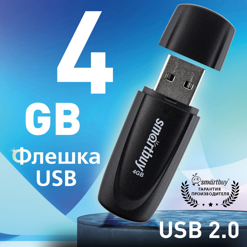 Флешка USB 2.0 SmartBuy 004GB Scout, черный #1