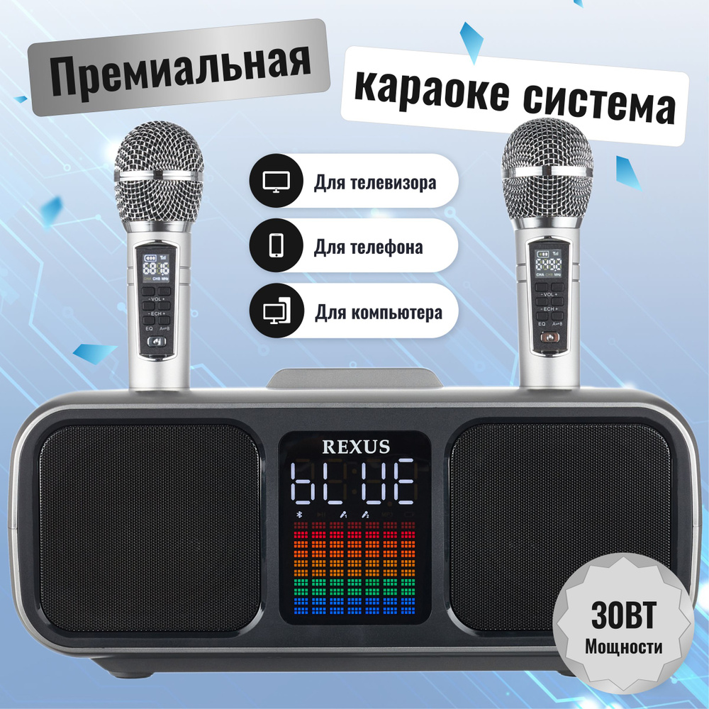 REXUS SD-318 (Grey) - беспроводная караоке система, 2 радиомикрофона, USB, Bluetooth, Optical, Coaxial #1