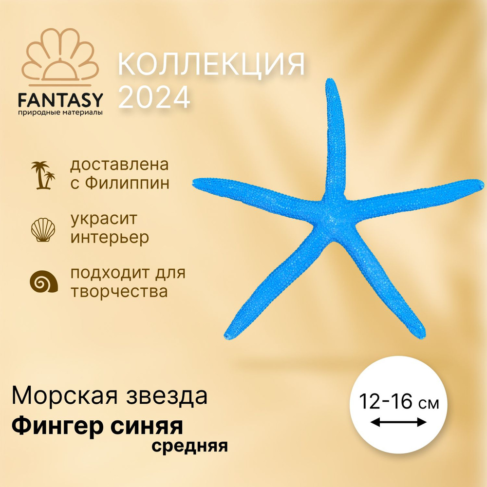 Натуральная морская звезда FANTASY Фингер синяя средняя, 1 шт., 12-16 см  #1