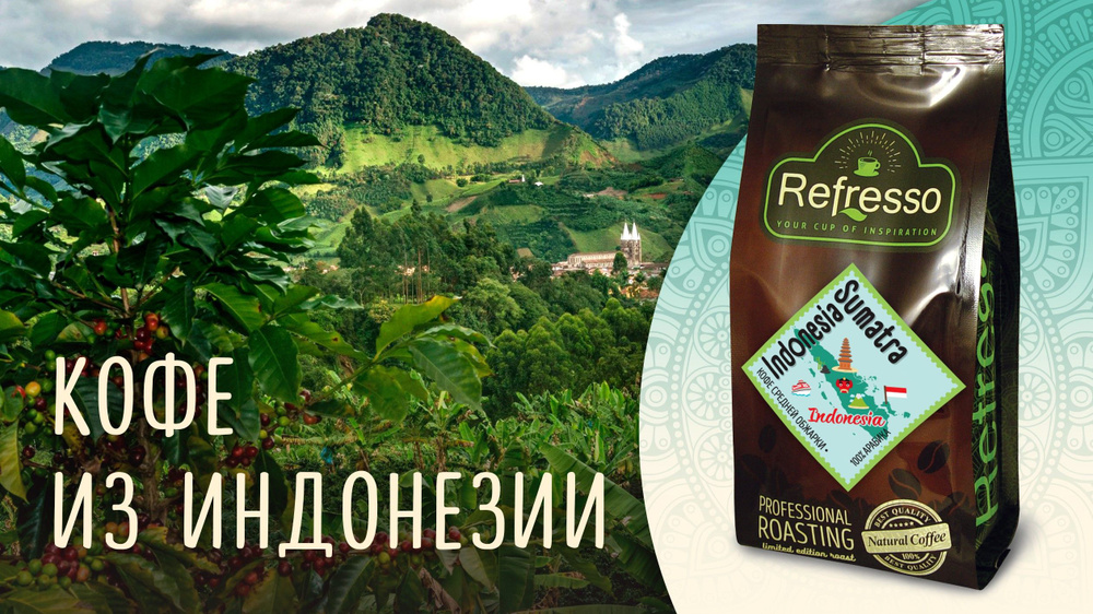 Кофе в зернах "Indonesia Sumatra" 100% Арабика, Refresso 500г #1