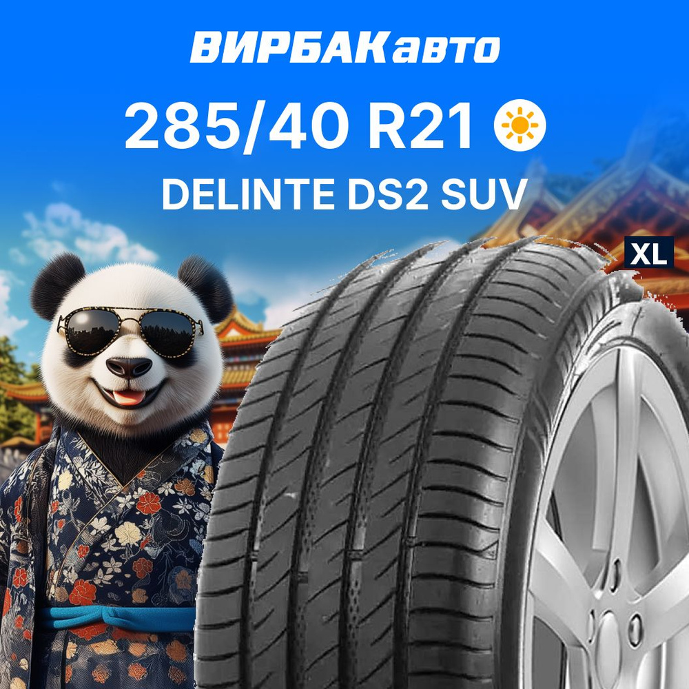 Delinte DS2 SUV Шины  летние 285/40  R21 109W #1