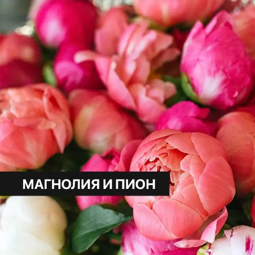 Отдушка CandleScience Magnolia and Peony 100 г (Магнолия и пион) #1