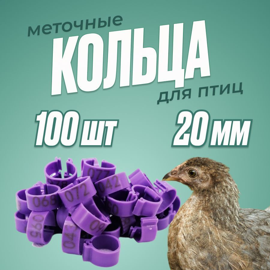 Кольца 20мм фиолетовые для взрослых кур 100шт КОМПЛЕКТ #1