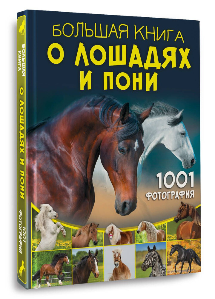 Большая книга о лошадях и пони. 1001 фотография | Спектор Анна Артуровна  #1