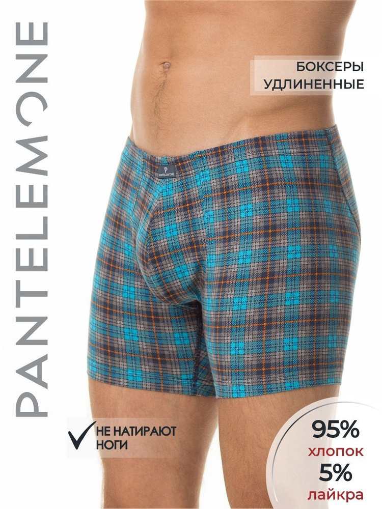 Трусы боксеры, шорты Pantelemone, 1 шт #1