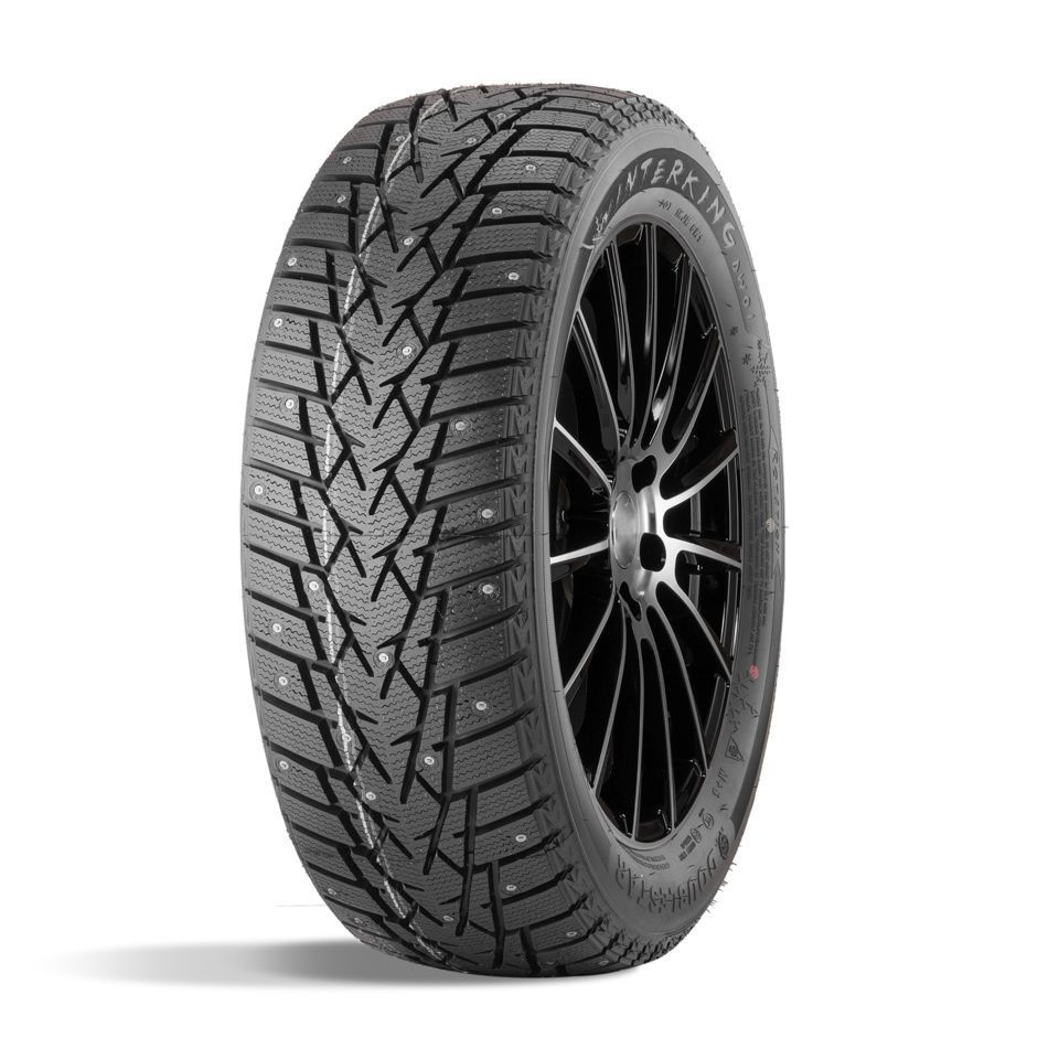 Doublestar DW01 Шины  зимние 195/65  R15 91T #1