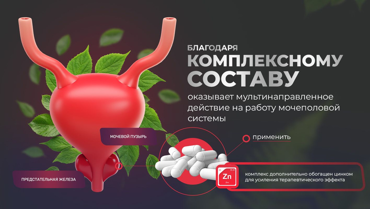 Оказывает мультинаправленное действие на работу мочеполовой системы