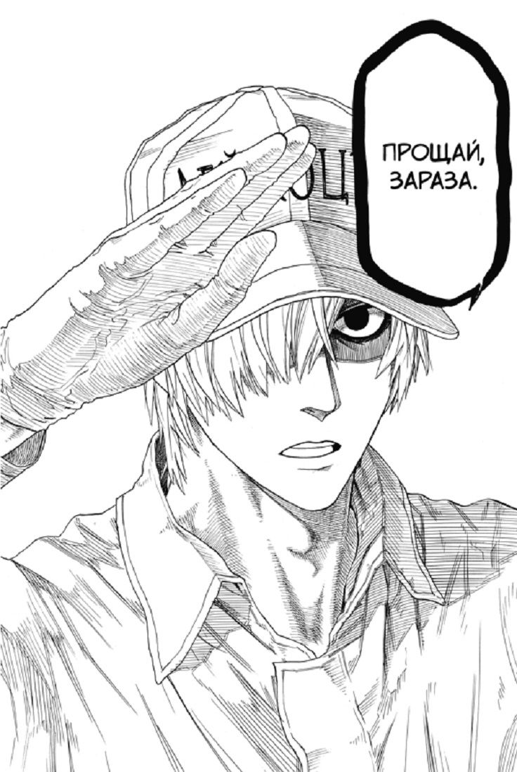 Клетки за работой. Т. 1: манга | Cells at Work! Vol. 1: Manga - Ozon image 5