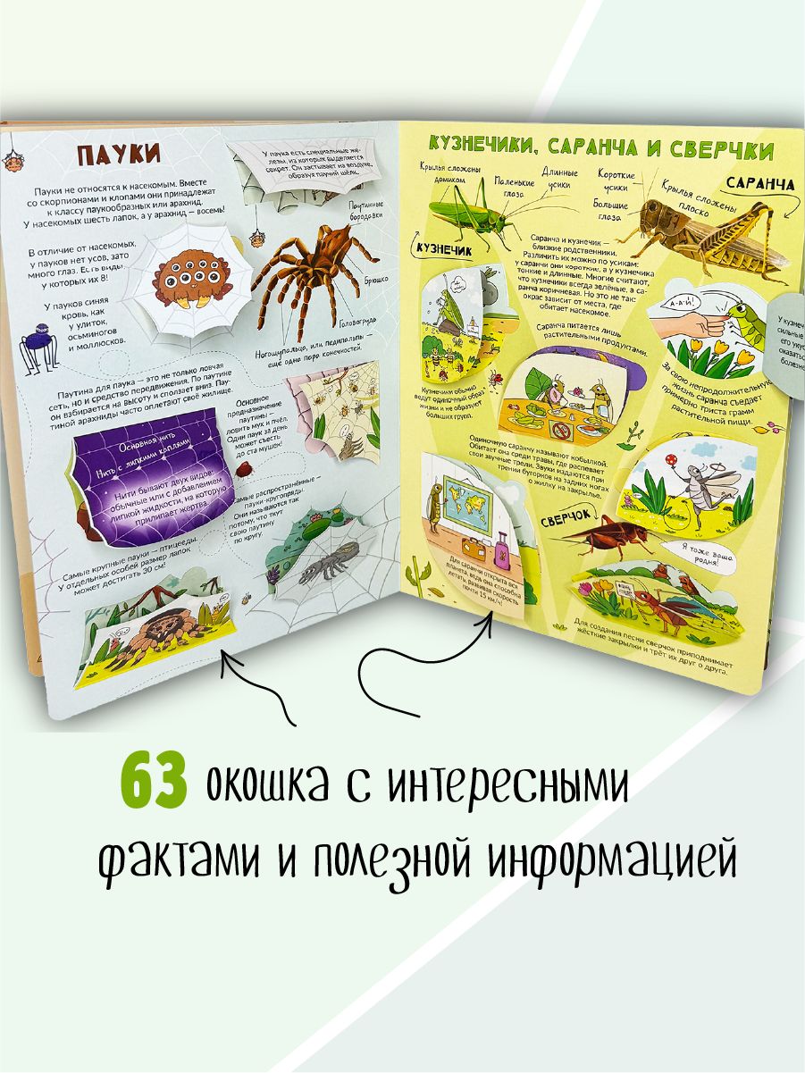 Книга детская энциклопедия с окошками Виммельбух | My First Book About Insects - Ozon image 3