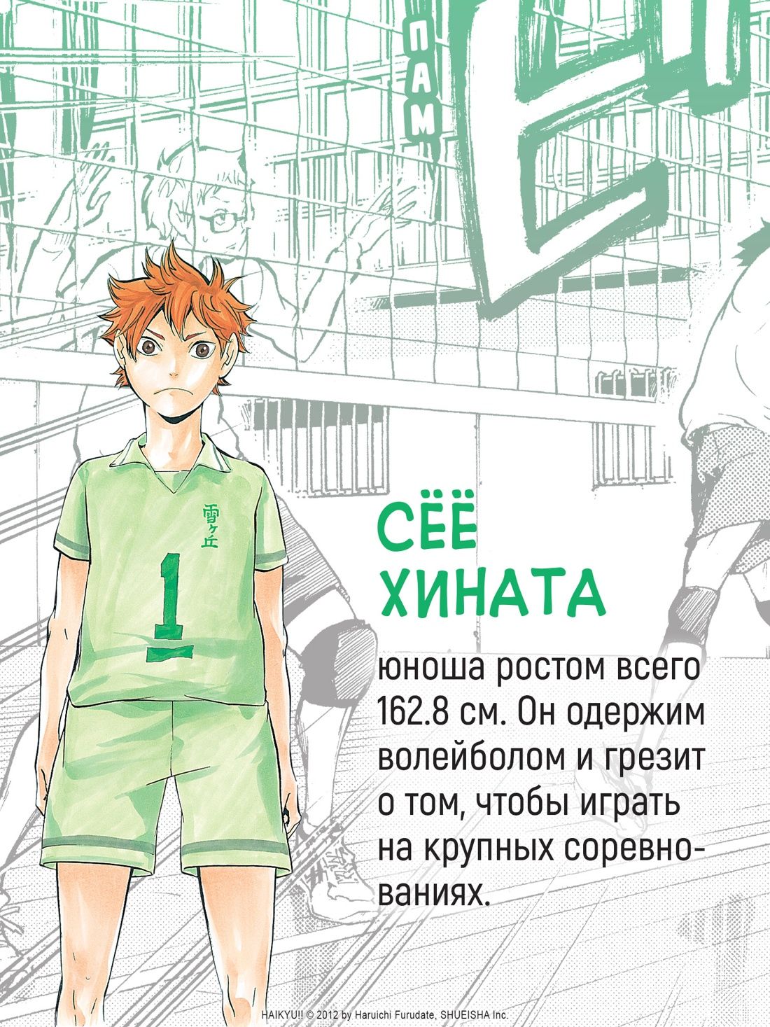 Волейбол! Книга 1. Хината и Кагэяма. Вид с высоты | Haikyu!!, Vol. 1: Hinata and Kageyama - Ozon image 3