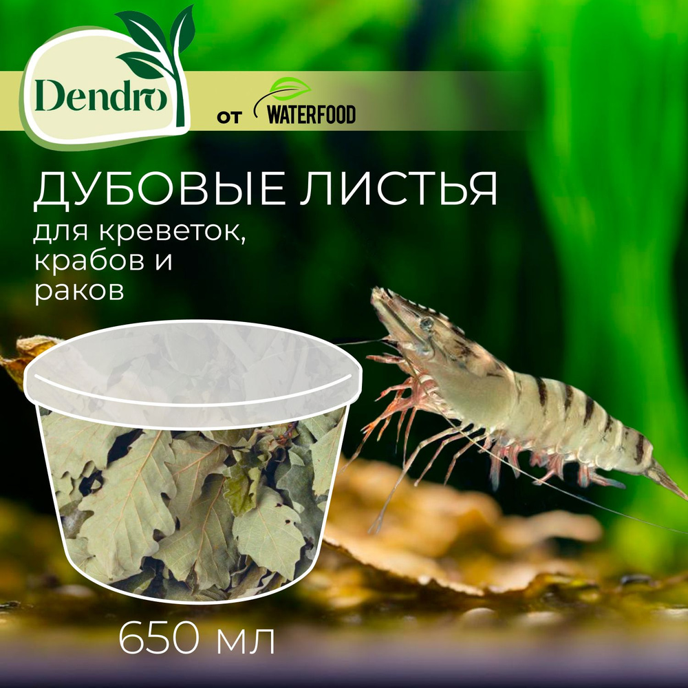 Дубовые листья DENDRO от Water Food - корм для креветок, крабов и раков (+ декор для аквариума + естественный #1