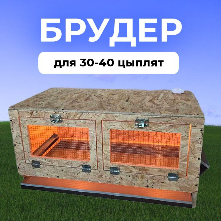 Брудеры и клетки