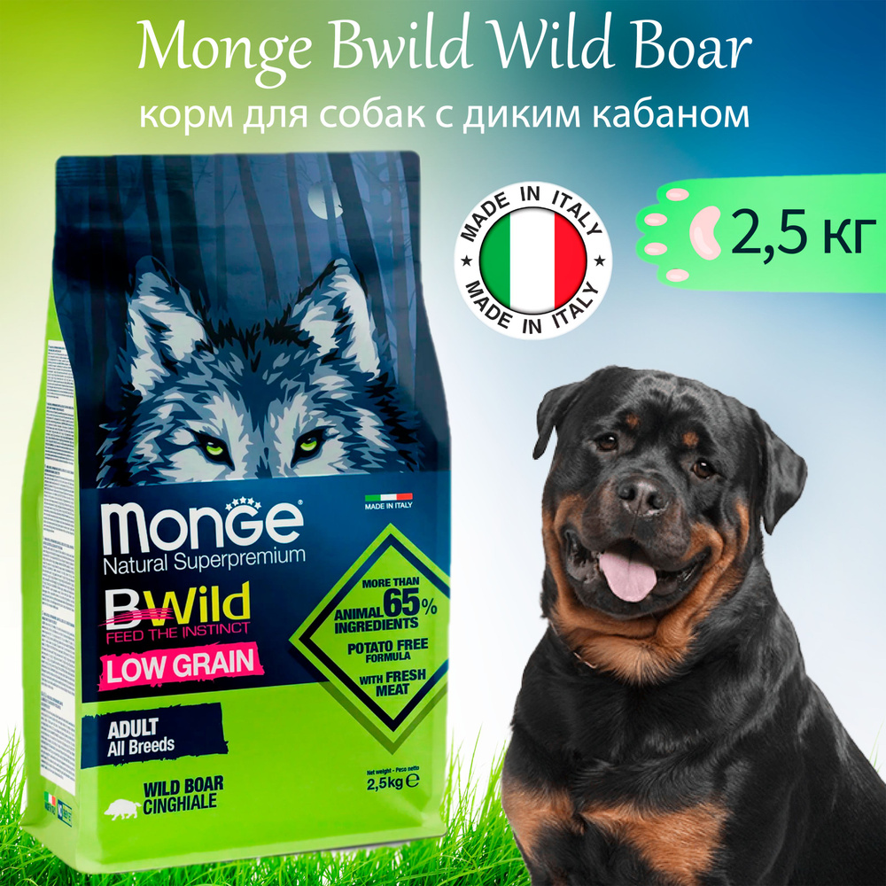 Monge Dog Bwild Wild Boar 2,5 кг сухой корм для взрослых собак всех пород, дикий кабан  #1