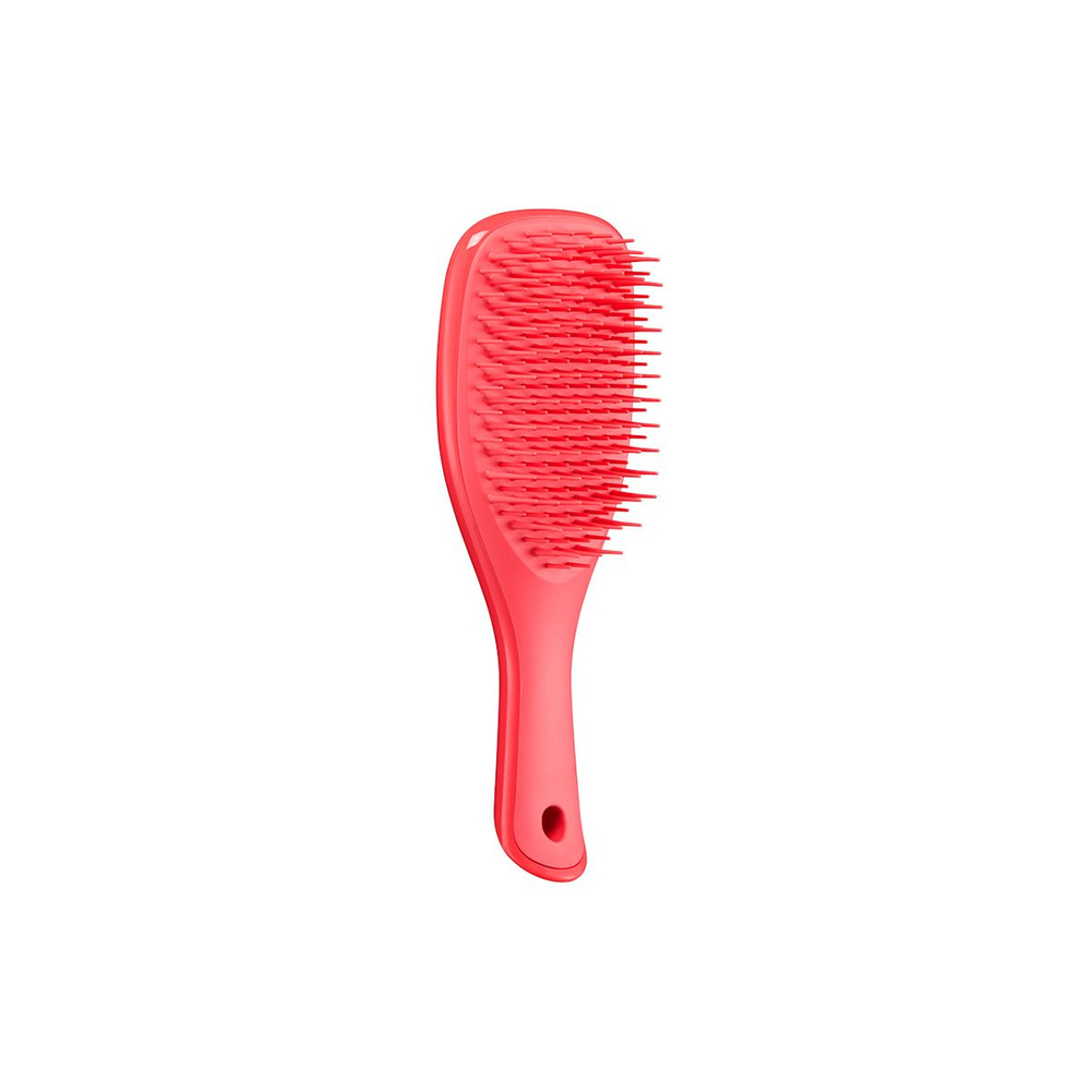THE WET DETANGLER MINI Pink Punch мини-расчёска для волос Tangle Teezer #1