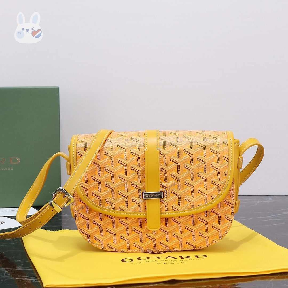 Goyard Рюкзак #1