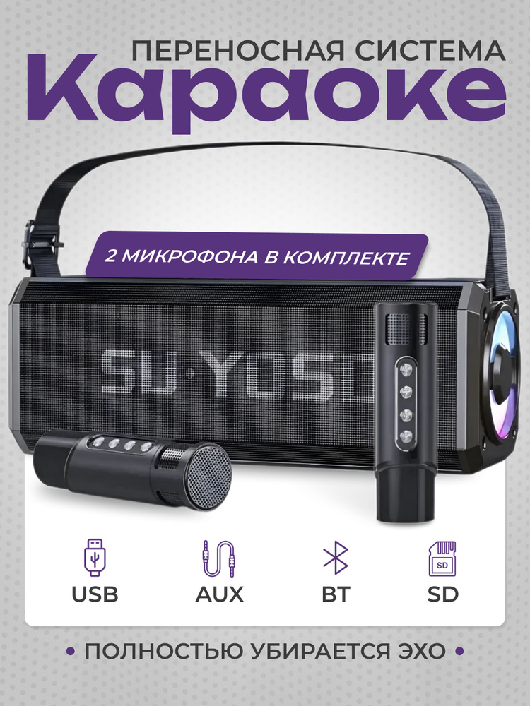 Портативная Bluetooth караоке система черная с 2 микрофонами  #1