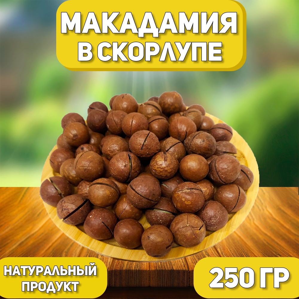 Макадамия в скорлупе 250 гр , 0.25 кг , Отборная Макадамия , Натуральные Высший сорт  #1