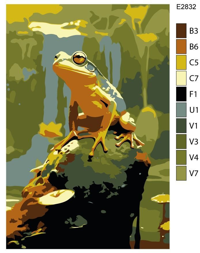 Детская картина по номерам E2832 "Лягушка на камне" 20x30 #1