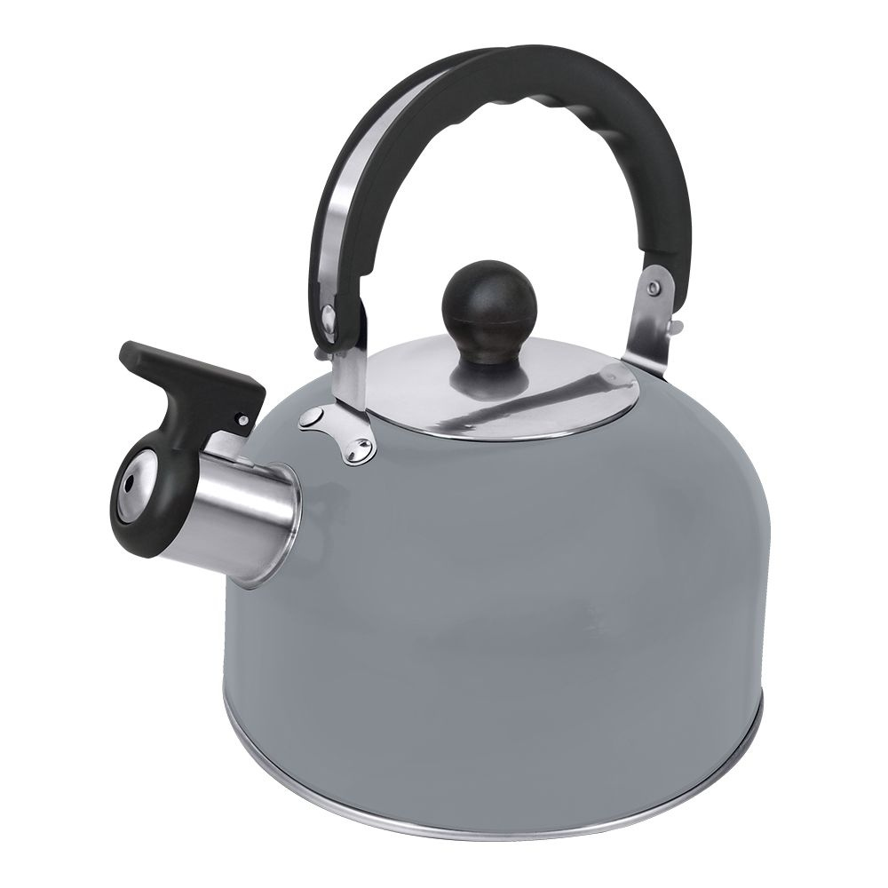Чайник со свистком HOME ELEMENT HE-WK1603B, светло-серый матовый #1