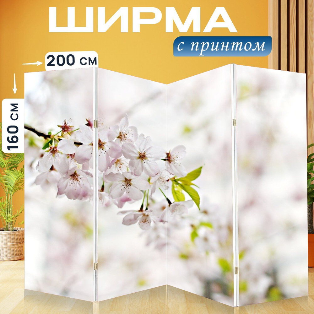 Ширма "Японская сакура, цветы, дерево" перегородка для зонирования комнаты с принтом 200x160 см. на холсте #1
