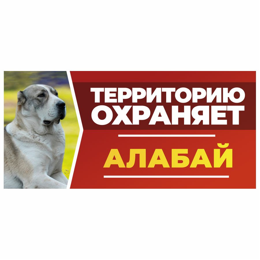 Табличка, DANGER DOG, Алабай, на забор, 30см х 14см #1