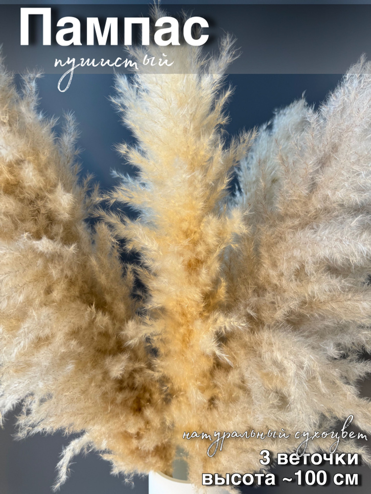Сухоцветы Пампасная трава, 100 см, 500 гр, 1 шт #1
