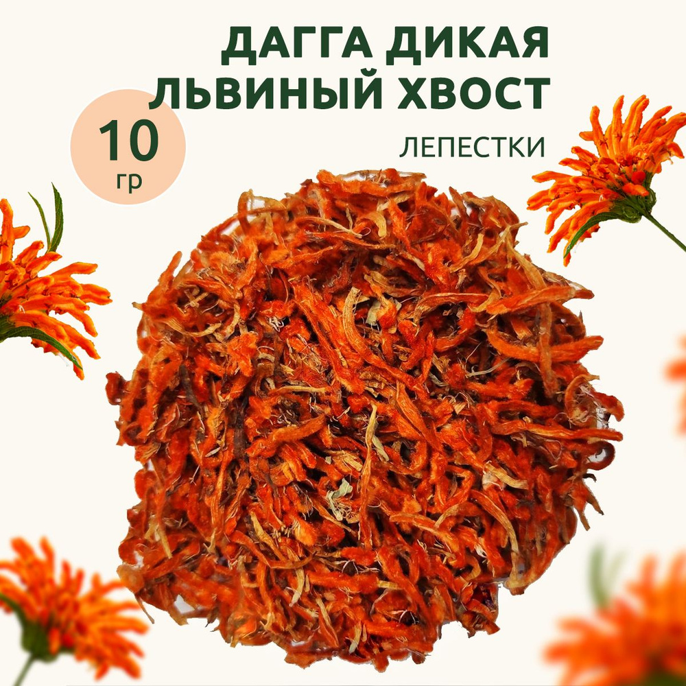 Дикая Дагга Leonotis leonurus Wild dagga лепестки 10 гр - купить с  доставкой по выгодным ценам в интернет-магазине OZON (1379095799)