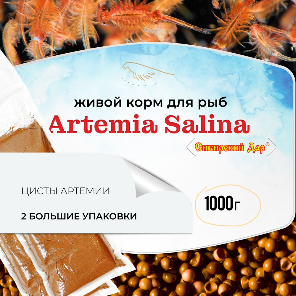 Живой корм для рыб "Сибирский дар" - Artemia Salina, 1000 г (1300 мл) - яйца артемии (цисты) для мальков, #1