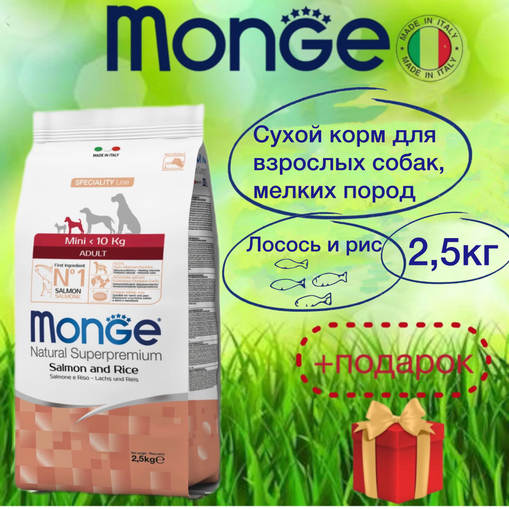 Monge Сухой корм для взрослых собак мелких пород, лосось и рис, 2,5 кг  #1