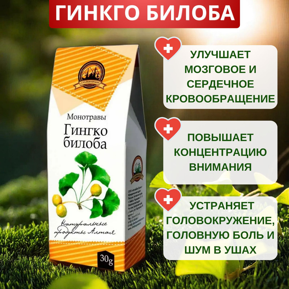 Гинкго билоба моносбор, 30 г. Чай для мозга, улучшения умственной работоспособности, внимания, памяти, #1