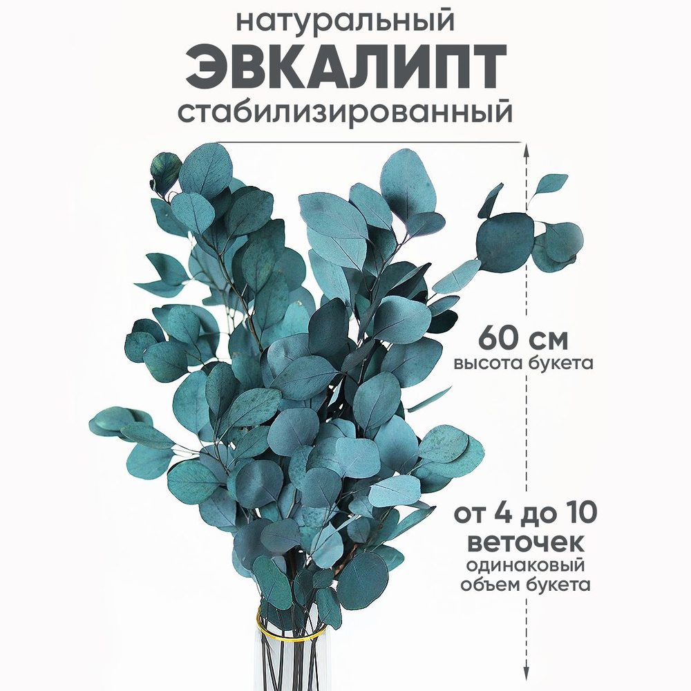 Handy Plants Сухоцветы, 65 см, 300 гр, 5 шт #1