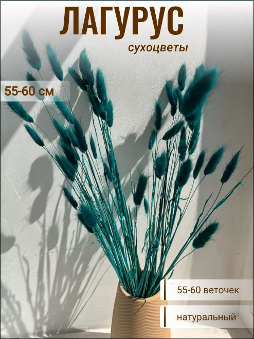 CRISPA FLOWERS Сухоцветы Лагурус, 60 см, 55 шт #1