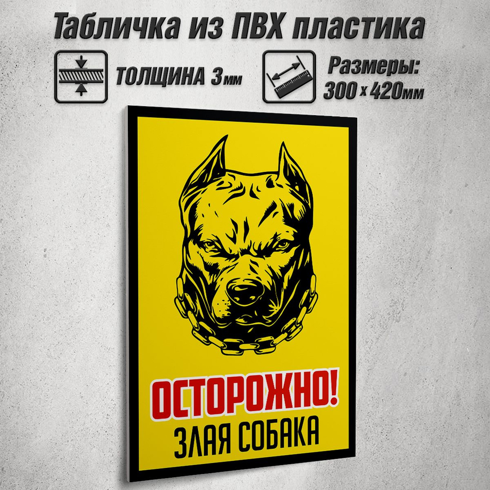 Информационная табличка "Осторожно! Злая собака" / 30x42 см.  #1