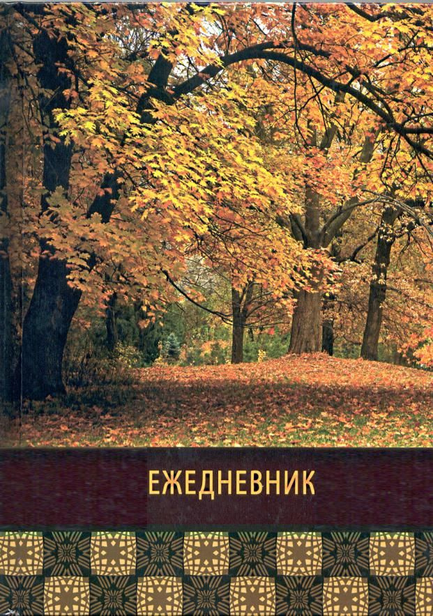 Ежедневник недатированный А5 (линейка) ( 256 страниц) MAZARI (твердая обложка) (глянцевая ламинация) #1