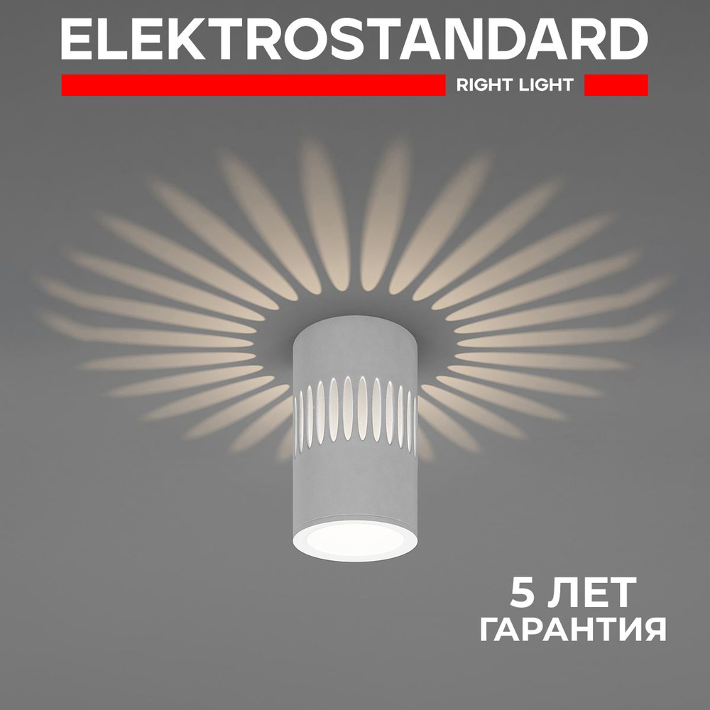 Потолочный накладной светодиодный светильник Elektrostandard DLS026 7W 4200К белый  #1